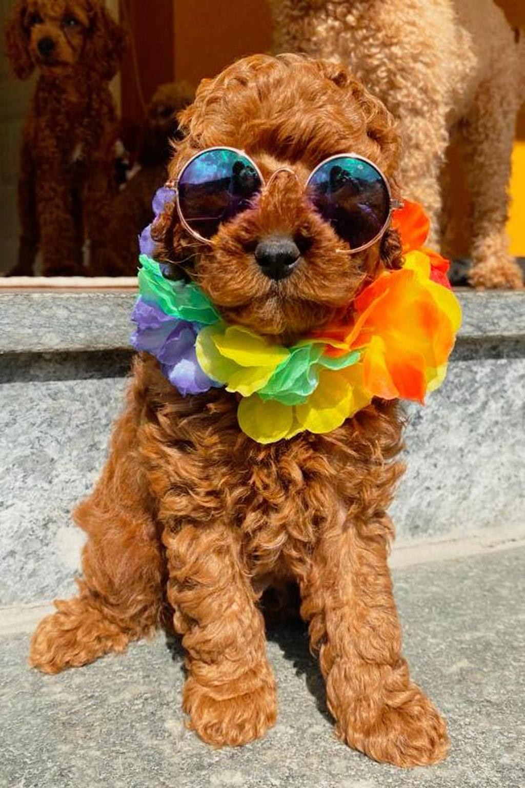 SU INSTAGRAM SIAMO IN TANTI!!